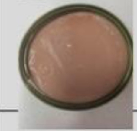 غذا کنسرو وموس تقویتی وخوش خوراک گربه