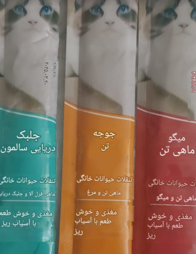 تشویقی وبستنی گربه کتی
